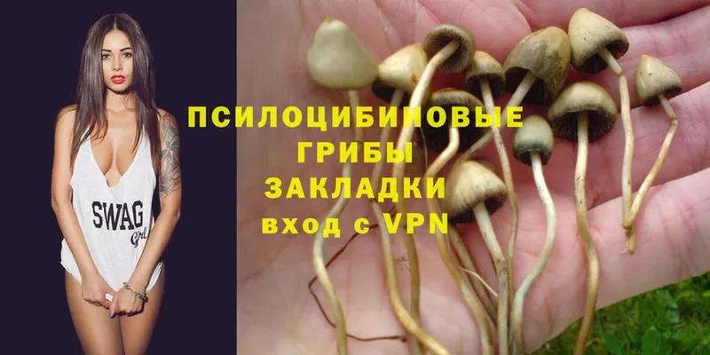 Галлюциногенные грибы Magic Shrooms  Жуков 